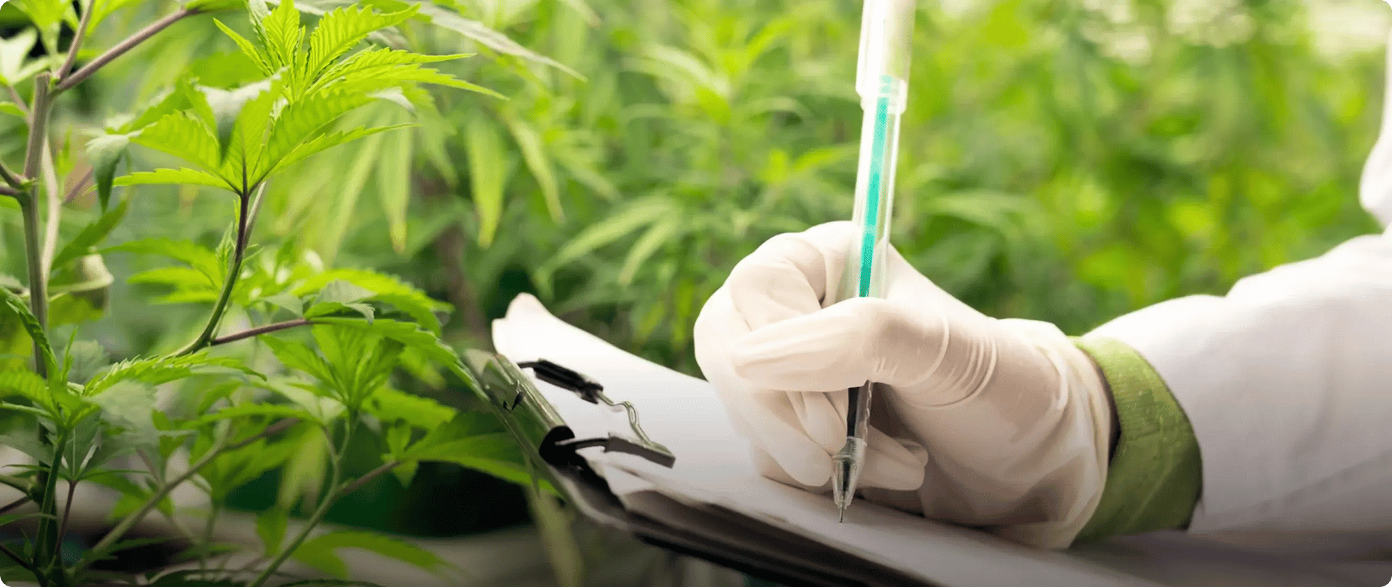 Research & Publications