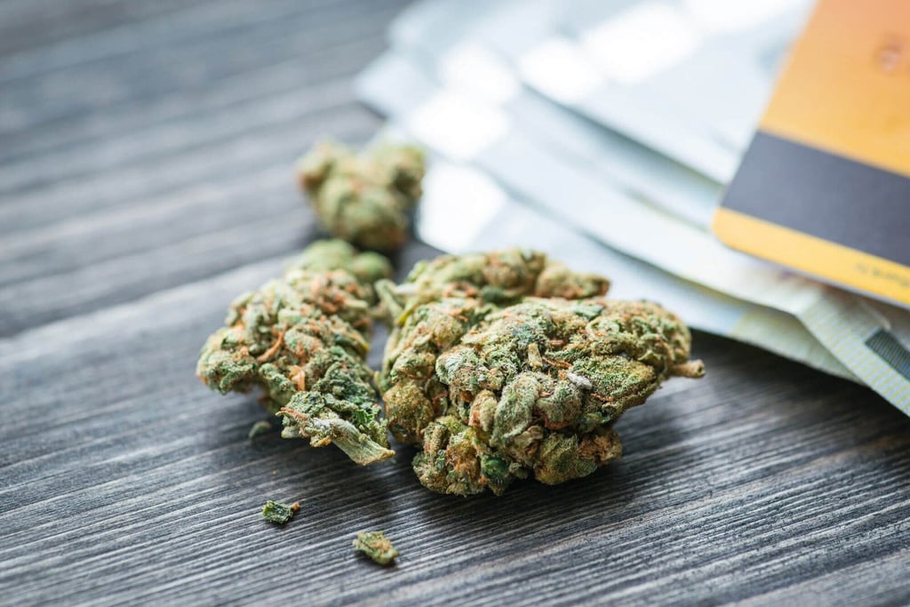 Getting a Medical Marijuana Card in Oklahoma: Key Questions Answered