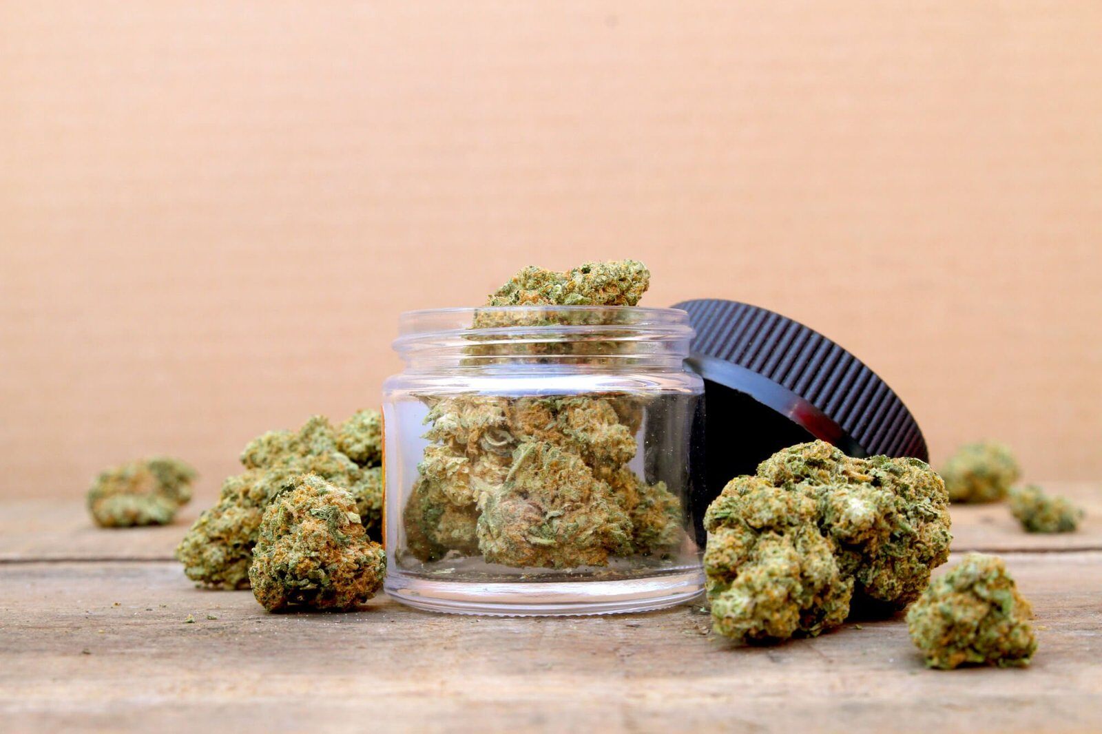 Indica vs Sativa vs Hybrid Strains: What Are the Differences?