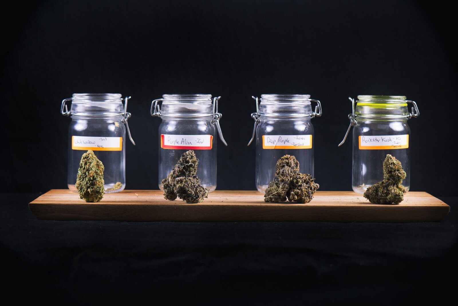 A Guide to the Different Types of Medical Marijuana in Oklahoma